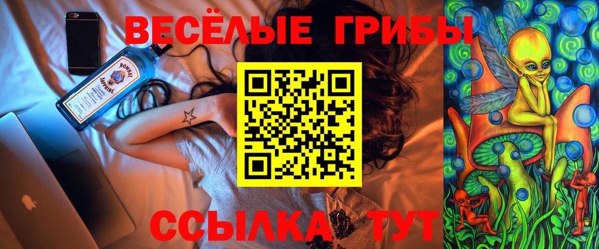 Галлюциногенные грибы прущие грибы  Вход с VPN  Галлюциногенные грибы Psilocybine cubensis  Нурлат 